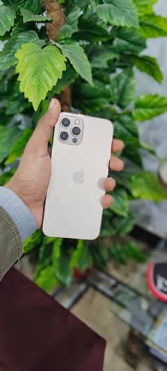 Iphone 12 pro non pta (jv)