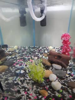 Aquarium for sale