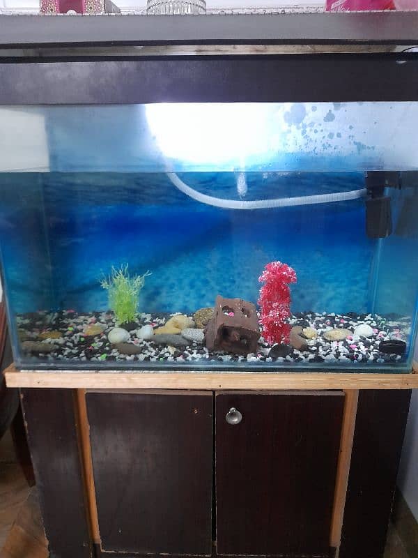 Aquarium for sale 2