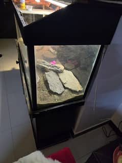 aquarium 4 ft