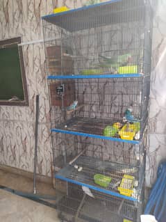 cages for sale