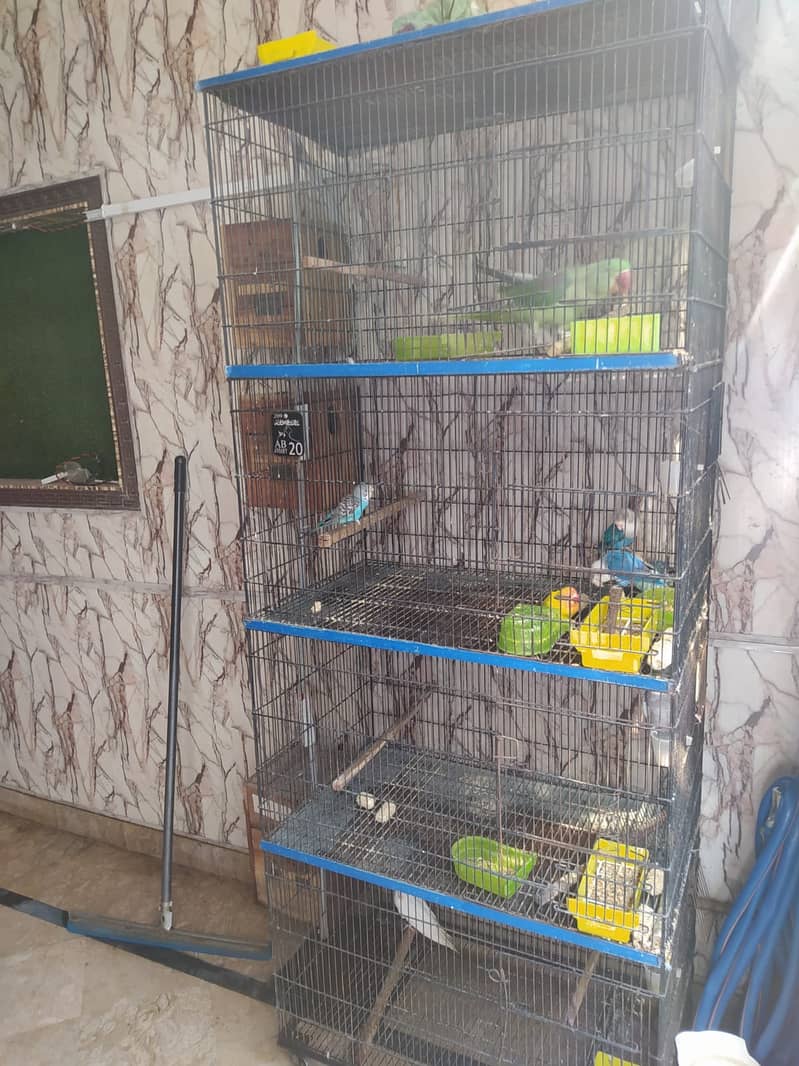 cages for sale 0