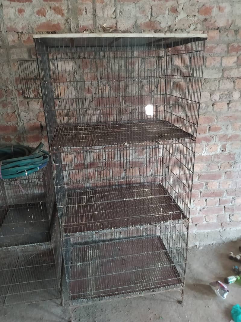 cages for sale 1