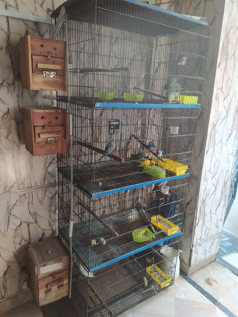 cages for sale 2