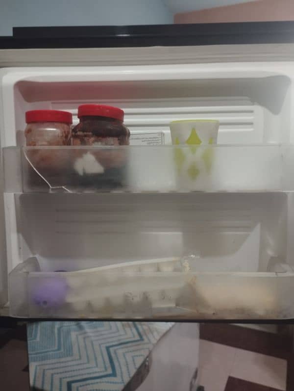 pel fridge 3