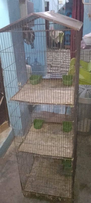 birds cage 0