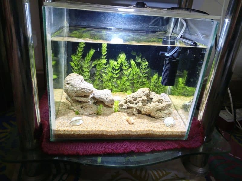 Aquarium For Sale 2