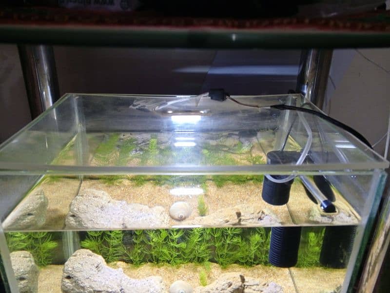 Aquarium For Sale 4