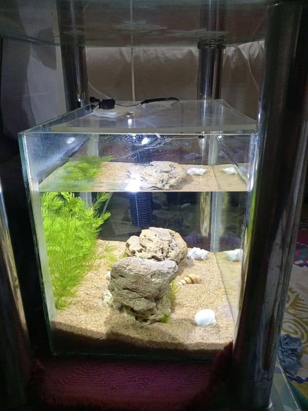 Aquarium For Sale 8