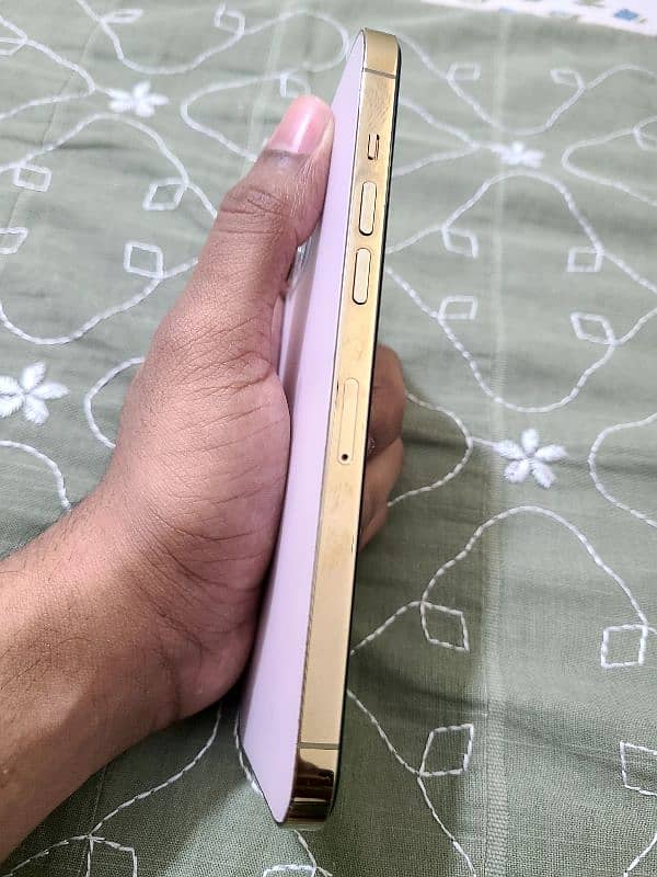 iphone 12 pro Max (non pta] 5