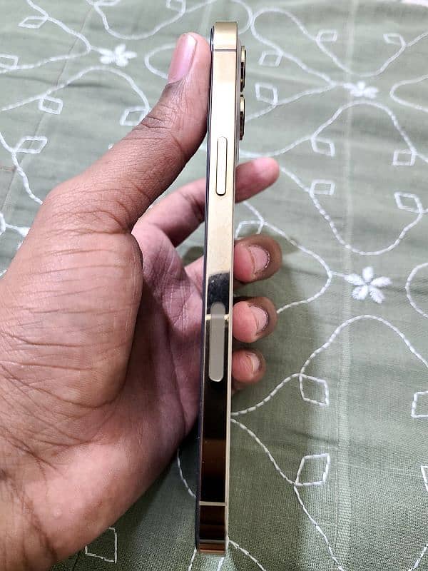 iphone 12 pro Max (non pta] 6