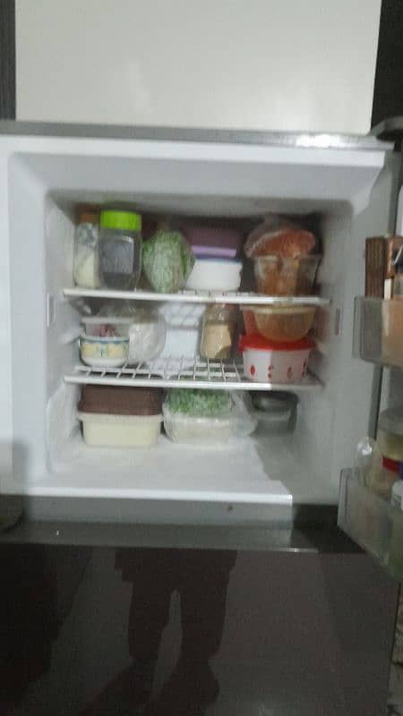 haire fridge 5