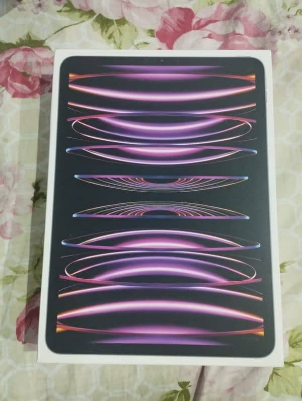 Ipad Pro 11 4th Generation 128 GB WIFI 2