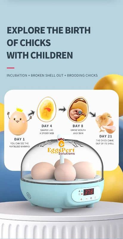 06 to 5056 Eggs Incubator AC DC Fully Automatic Electricity Efficient 11