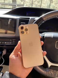 iPhone 12 Pro Max PTA approved