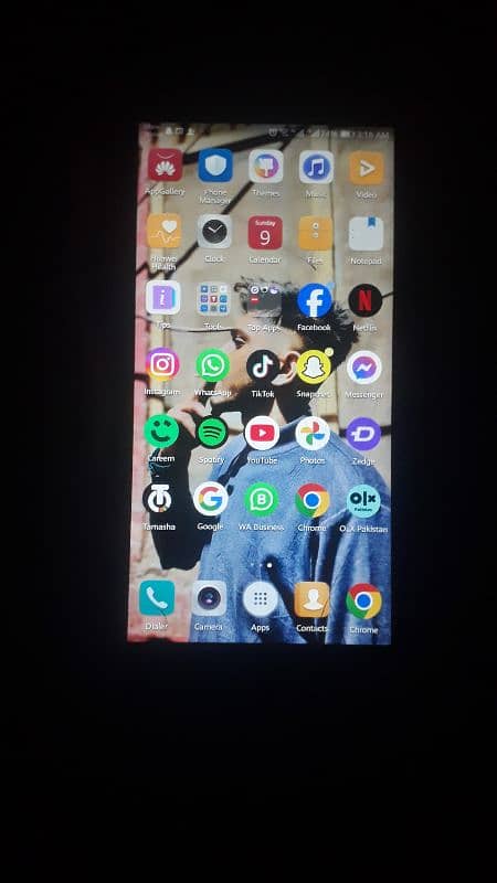 haweia mate 10 light 64gb pta approve dual sim what ka num 03406511695 0