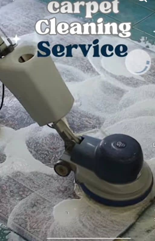 Professional Water Tank Cleaning/Sofa Carpet Cleaning/Termite Spray 19