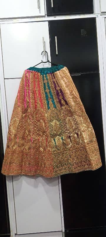 Lehnga Choli with Colorful Dopta 3