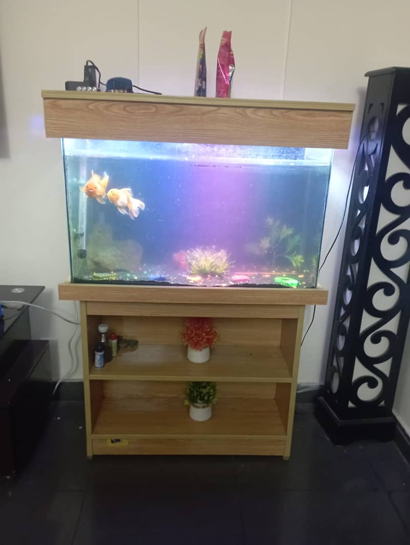 Round Bally Gold Fish Couple with Aquarium for Sale 1