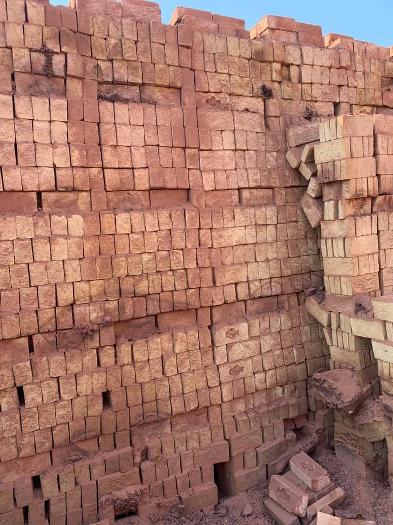 Pakistan No. 01 Quality Bricks 1