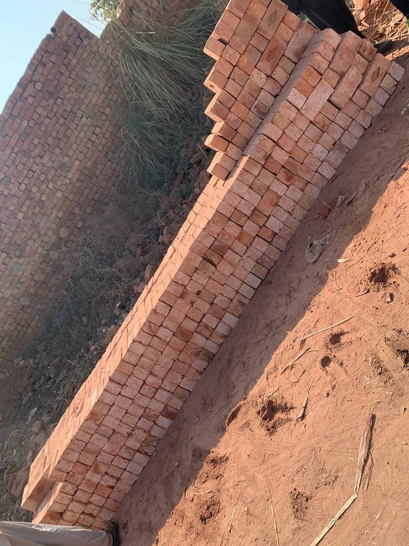 Pakistan No. 01 Quality Bricks 5