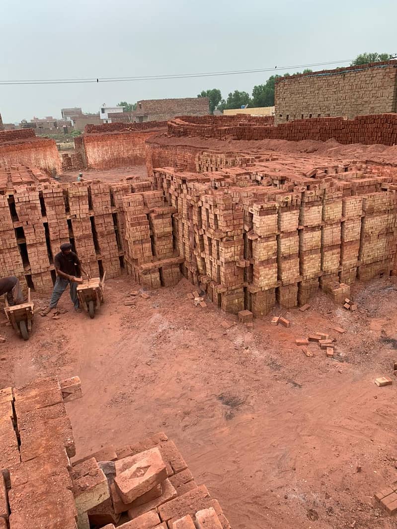 Pakistan No. 01 Quality Bricks 6