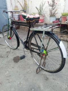 original Sohrab cycle saiz 22