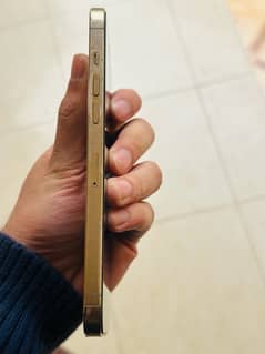 i phone 12 pro max golden color condition10/10 non pta