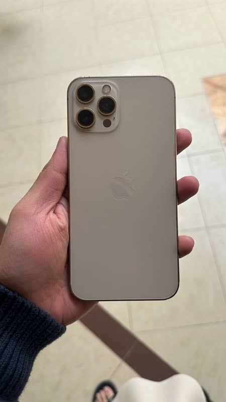 i phone 12 pro max golden color condition10/10 non pta 3