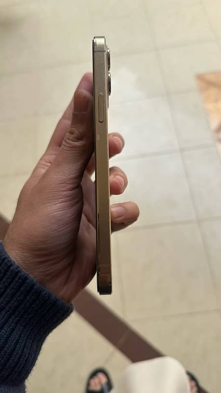 i phone 12 pro max golden color condition10/10 non pta 4