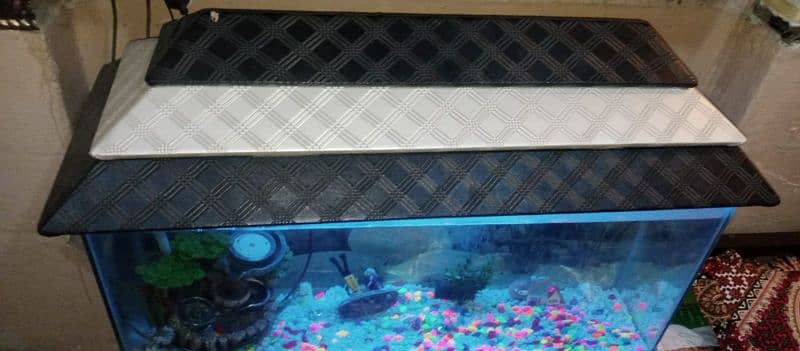 Fish Aquarium for sale 0