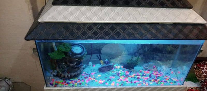 Fish Aquarium for sale 1