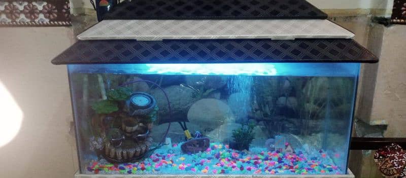 Fish Aquarium for sale 2