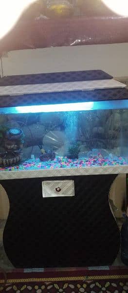 Fish Aquarium for sale 4