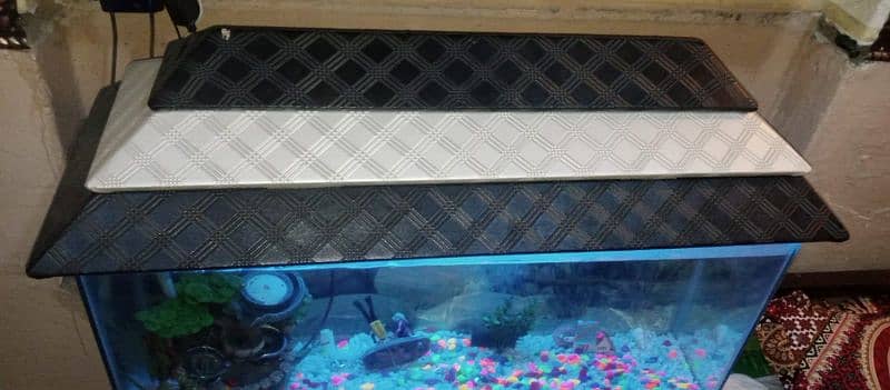 Fish Aquarium for sale 5