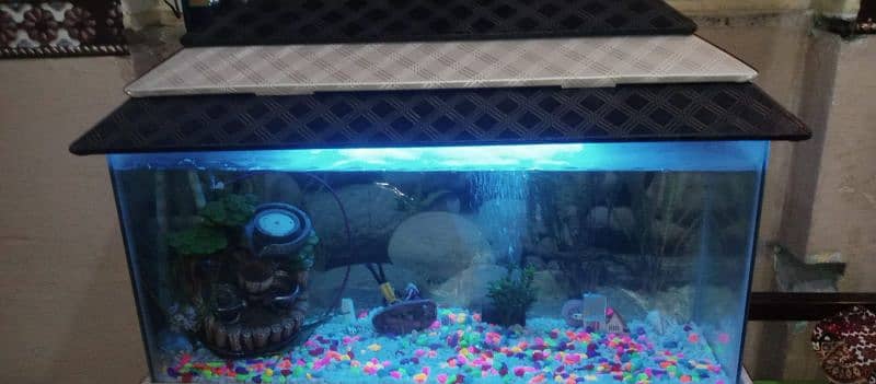 Fish Aquarium for sale 6