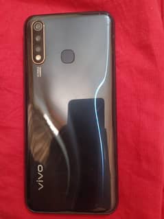 vivo