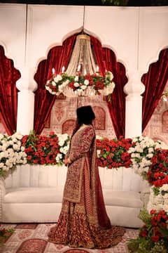 Branded Bridal dress (Barat, Mehdi, valima)