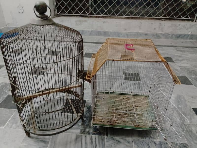 Cages for sale Used 1