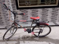 Phoenix New Bicycle for sale