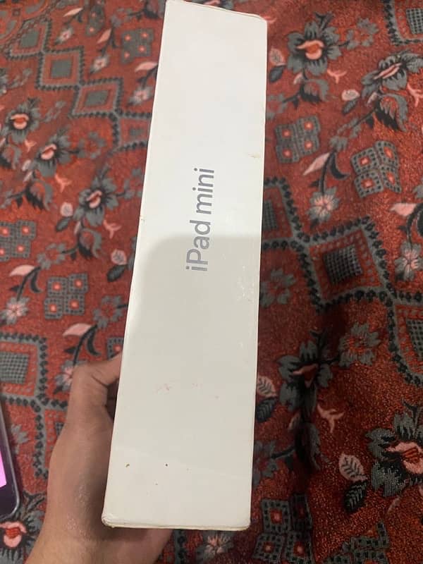 iPad mini 5 64GB 10/9 Condition 1