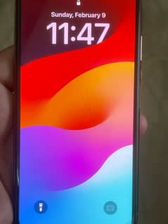 XS MAX PTA APPROVED