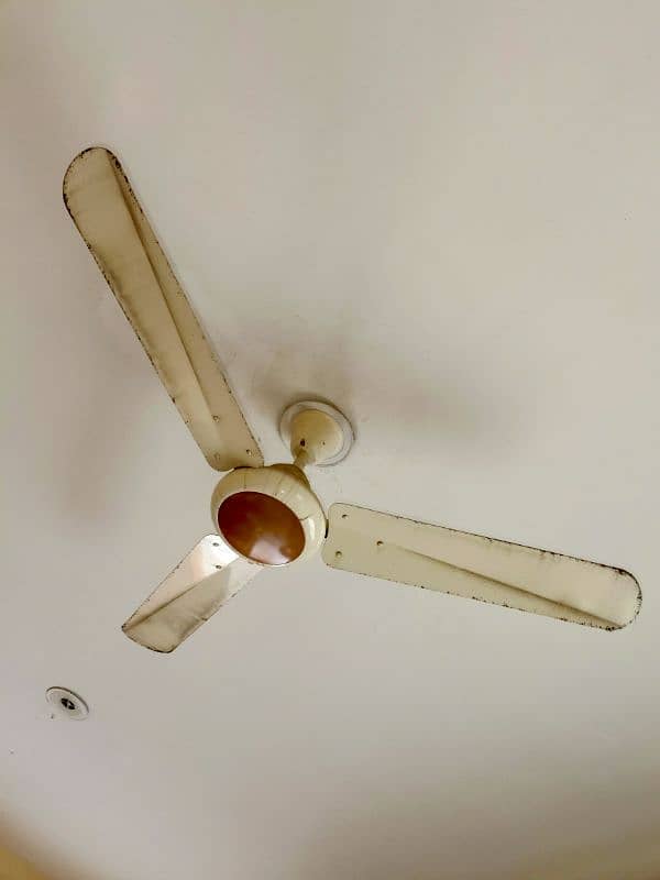 3 Ceiling Fans for sale 4