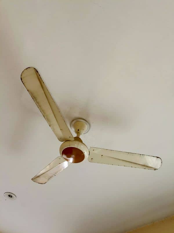 3 Ceiling Fans for sale 5