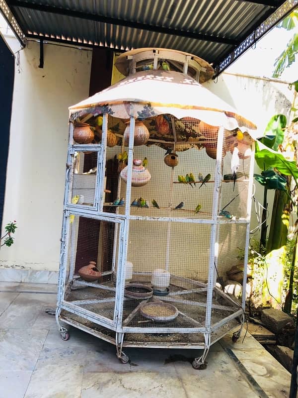 Cage for sale 2x2 meter hight 2.5 meter 4