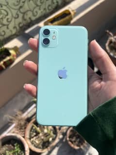 Apple iPhone 11