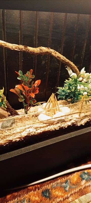 wooden miniature garden wall hanging lamp 3
