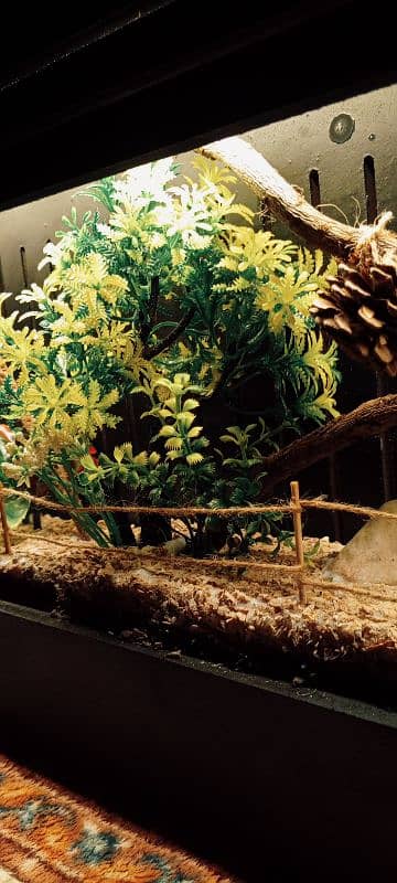 wooden miniature garden wall hanging lamp 6