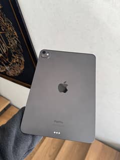 Ipad Pro M4 11 inch wifi (100% battery health)