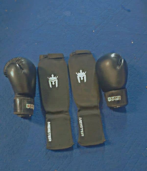 boxing gloves with protect leg's 1